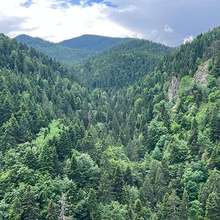 Apartamento Arboro Borovets Gardens E68 Exterior foto