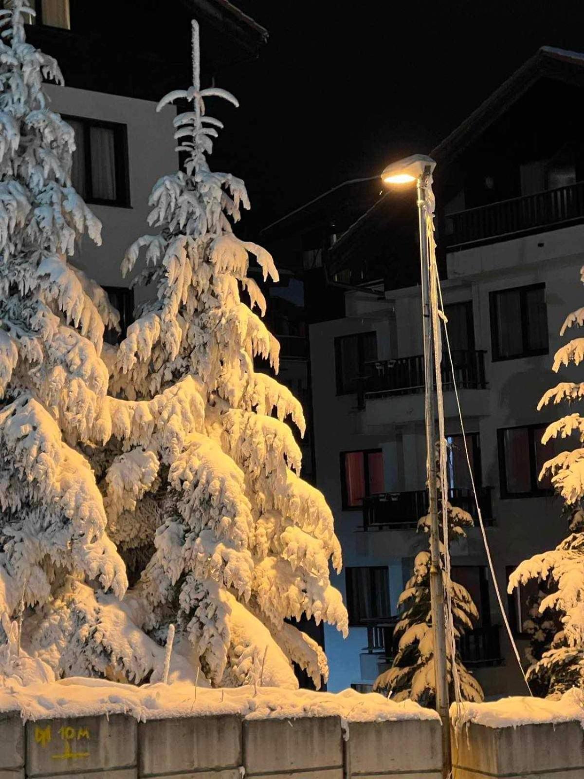 Apartamento Arboro Borovets Gardens E68 Exterior foto