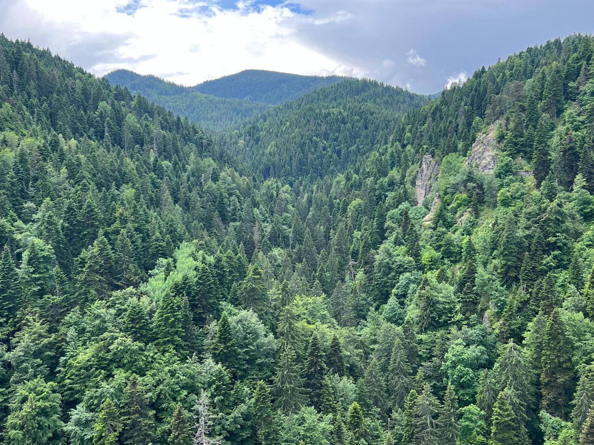 Apartamento Arboro Borovets Gardens E68 Exterior foto