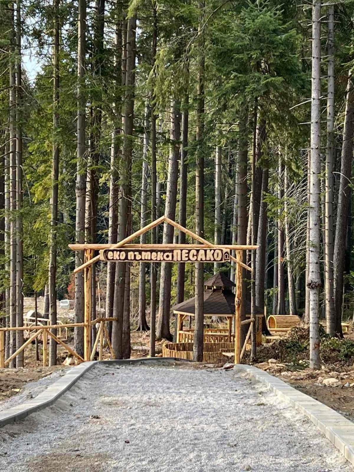 Apartamento Arboro Borovets Gardens E68 Exterior foto