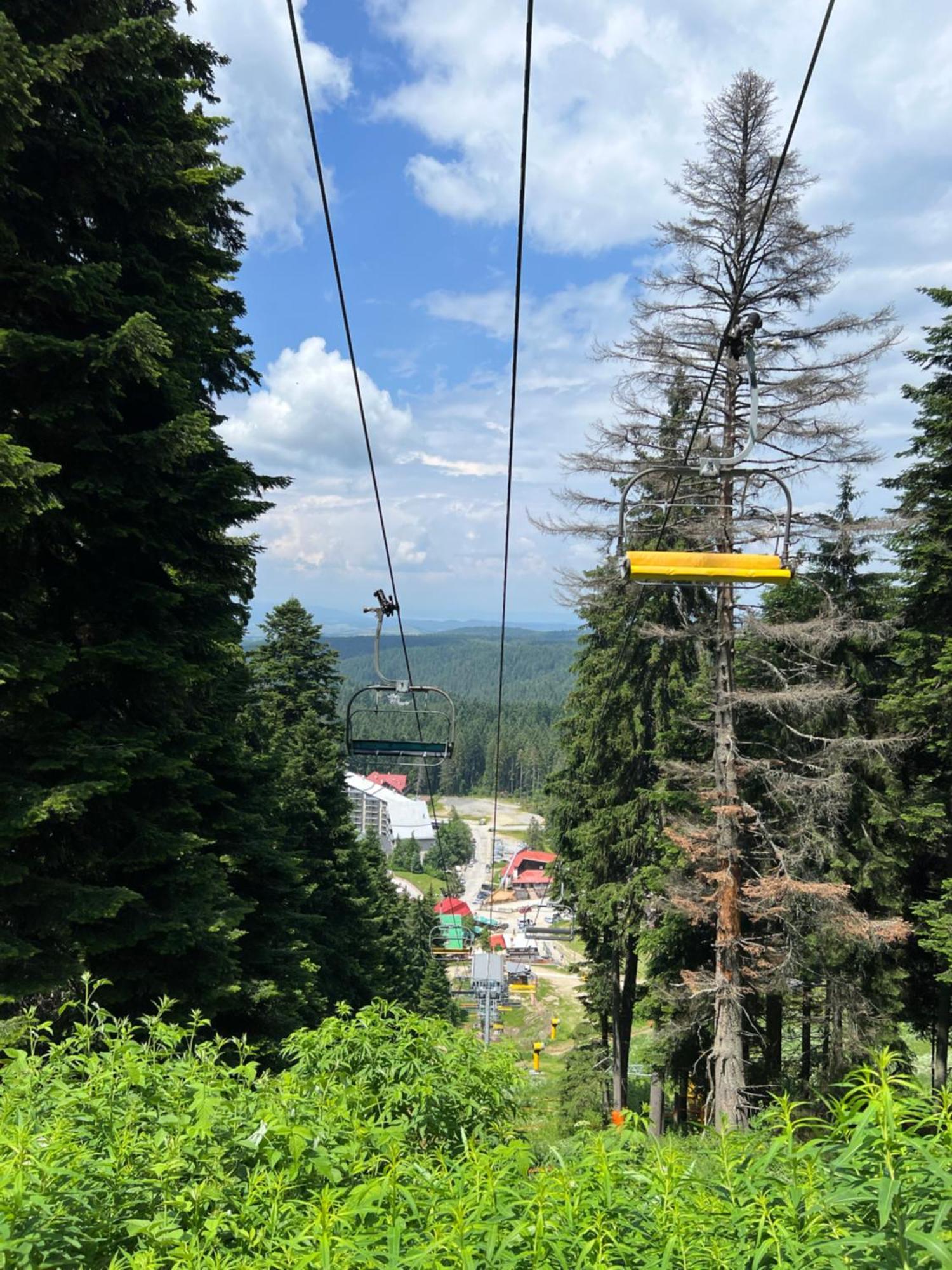 Apartamento Arboro Borovets Gardens E68 Exterior foto